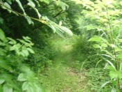 鉱山道路